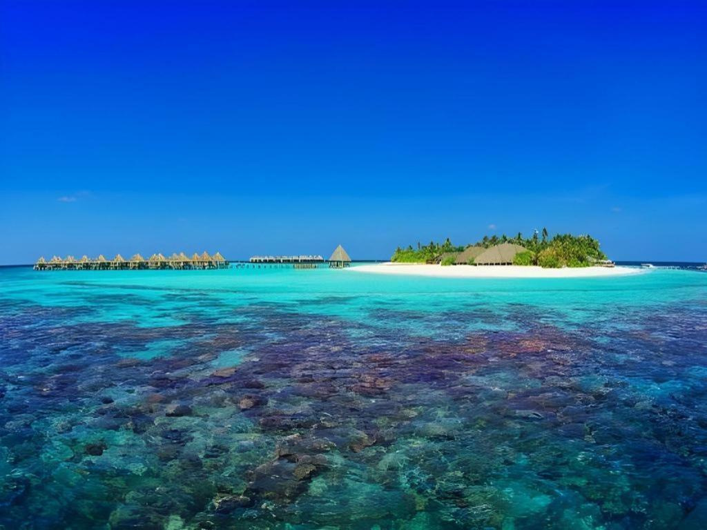 Angaga Island Resort And Spa Zewnętrze zdjęcie